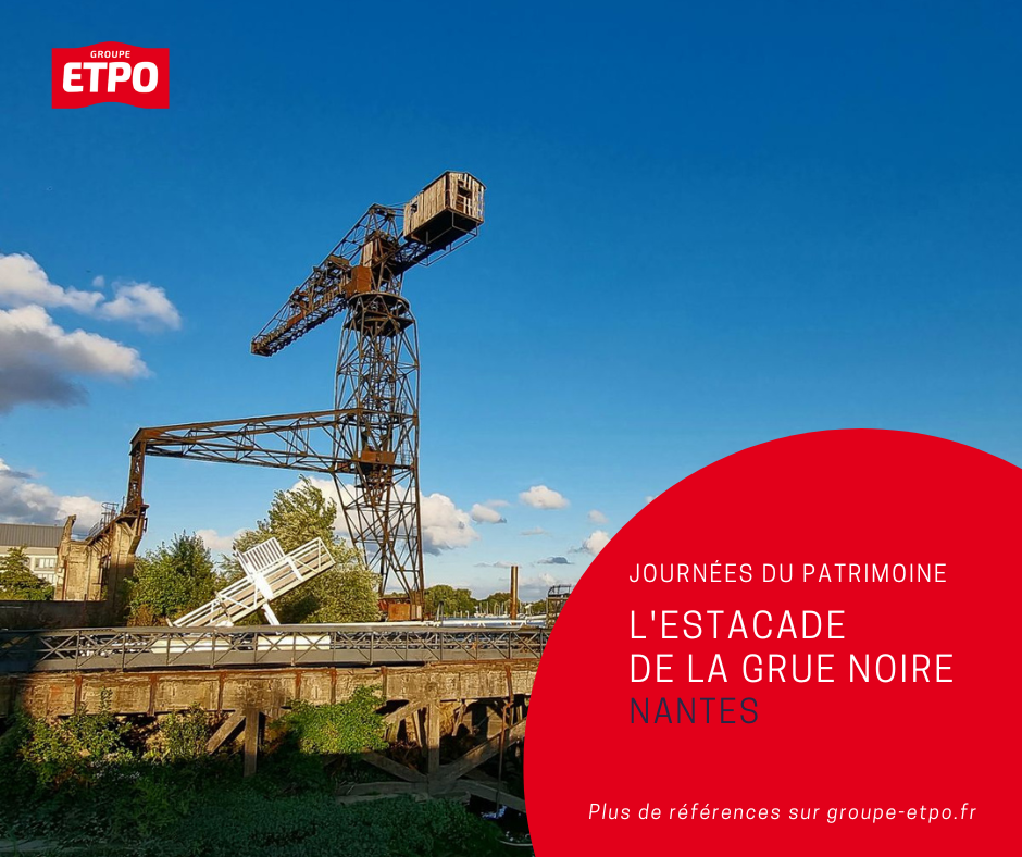 grue noire