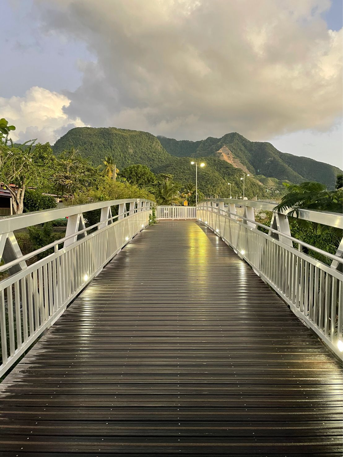 guadeloupe_passerelle